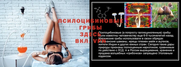 СК Белокуриха