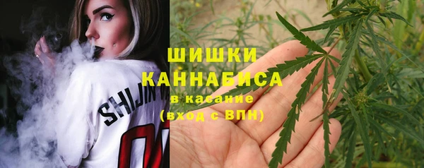 дурь Богородицк
