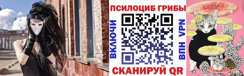 где купить наркотик  Невель  Псилоцибиновые грибы MAGIC MUSHROOMS 